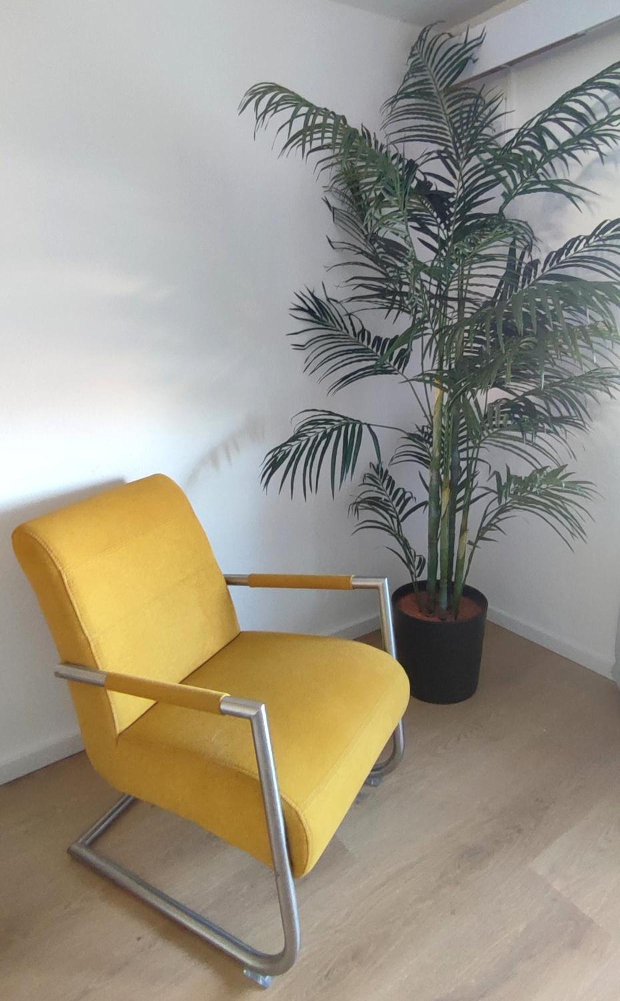 Ferienwohnungen Aviva Bodman - Urlaub In Unmittelbarer Seenaehe Exterior foto